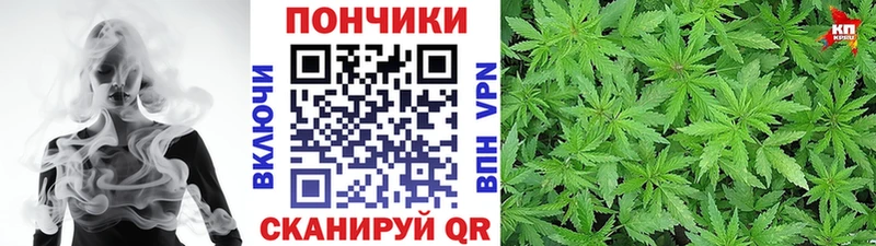 Где продают наркотики Выборг Марихуана Alpha PVP Cocaine Амфетамин НБОМе ГАШИШ Мефедрон
